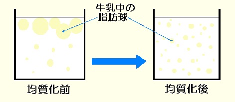 均質化イメージ