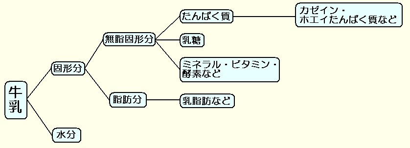 牛乳の成分
